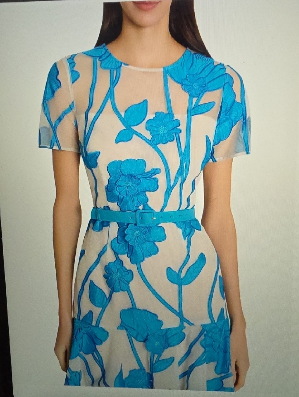MILLY Rosie Grand Fleur Belted Embroidered Minidress $595 - Picture 2 of 6